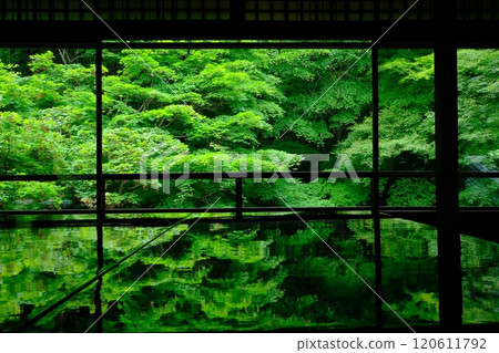 Scenery of green maples and Shoin 120611792