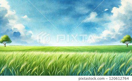 Watercolor illustration of blue sky and grassland 120612764