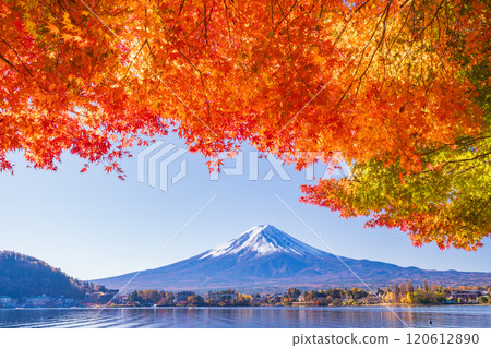 [Yamanashi Prefecture] Autumn leaves of maples along Lake Kawaguchi and Mt. Fuji 120612890
