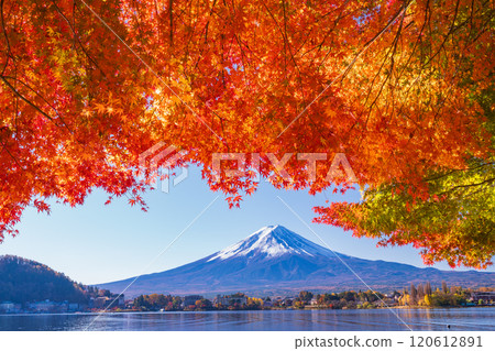 [Yamanashi Prefecture] Autumn leaves of maples along Lake Kawaguchi and Mt. Fuji 120612891