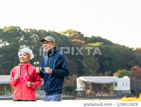 Senior couple exercising in the park Senior couple exercising in the park 120612929