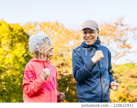 Senior couple exercising in the park Senior couple exercising in the park 120612931