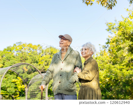 Senior couple looking up at the sky in the park 120612940