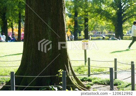 Natural scenery of parks in Gifu Prefecture 120612992