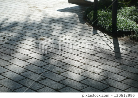 岐阜縣立公園的自然景觀 120612996