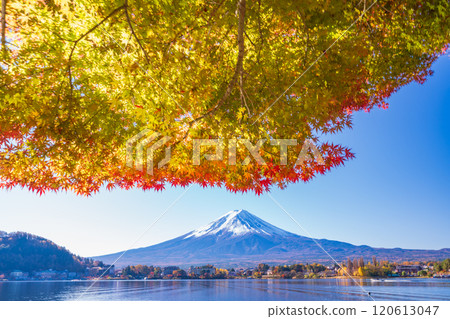 [Yamanashi Prefecture] Lake Kawaguchi and Mt. Fuji as maple leaves begin to turn red 120613047