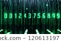 Green Number Digital Code - Cyberspace of the Near Future Green Number Digital Code - Cyberspace of the Near Future 120613197