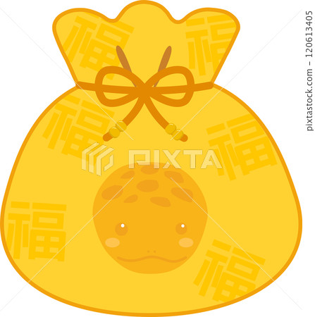 a lucky bag to greet the Year of the Snake 120613405
