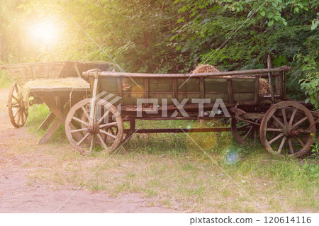 Traditional country cart in nature background. Vintage wooden transport. Sunny. Traditional country cart in nature background. Vintage wooden transport. Sunny. 120614116
