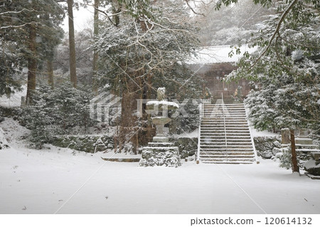糸島雪景 120614132