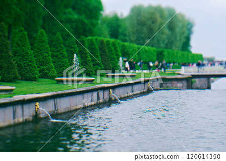 Canal in Peterhof Palace 120614390