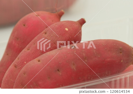 地瓜遙紅 120614534