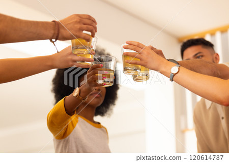 Toasting with drinks, diverse friends celebrating together in casual setting 120614787