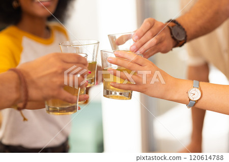 Friends toasting with glasses of juice, celebrating and enjoying together Friends toasting with glasses of juice, celebrating and enjoying together 120614788