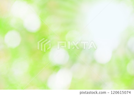 Fresh green bokeh autumn 120615074