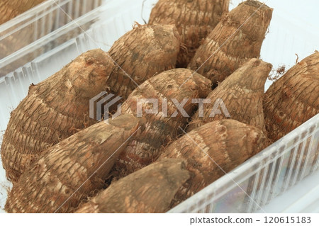 Taro taro Taro taro 120615183