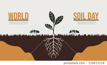 Understanding Soil Health on World Soil Day 120615236