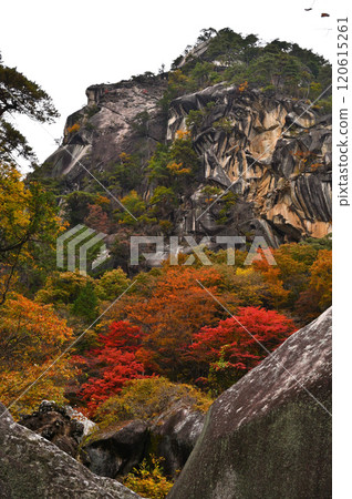 [山梨縣]昇仙峽的垂直構圖，秋葉盛開 120615261