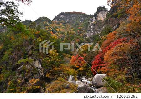 【山梨縣】秋葉盛開的昇仙峽 120615262
