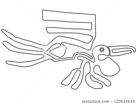 納斯卡線條鵜鶘 120615610