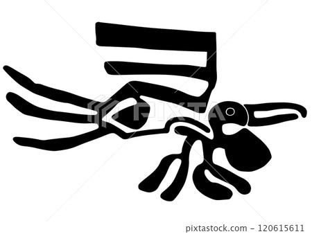 納斯卡線條鵜鶘 120615611