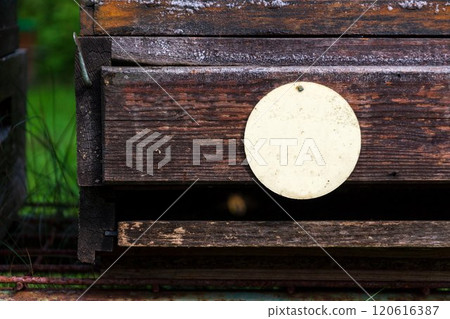 Wooden beehive in summer nature, orchard and forest in background 120616387