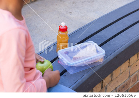 African american girl holding apple with sandwich and juice bottle at school 120616569