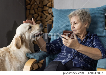 Elderly woman petting a Golden Retriever while holding a smartphone, sharing a moment of affection and relaxation in a cozy setting. Elderly woman petting a Golden Retriever while holding a smartphone, sharing a moment of affection and relaxation in a cozy setting. 120617014