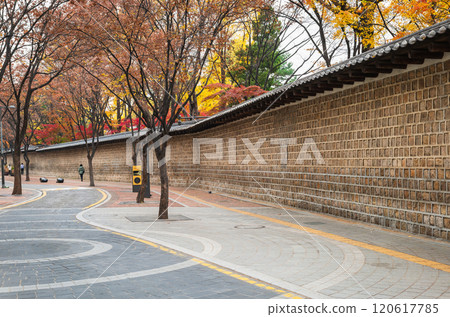 Autumn in Seoul: Jeongdong-gil 120617785
