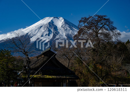 冬天的河口湖和山中湖 120618311