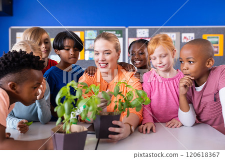In school, female teacher showing potted plants to diverse group of curious diverse students 120618367
