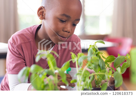 In school, african american boy watering plants and learning about gardening in classroom 120618373