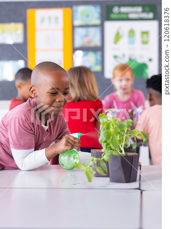 In school, african american boy watering plants in classroom, learning about gardening 120618376
