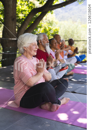Focused diverse group of senior friends practising yoga in sunny garden, copy space Focused diverse group of senior friends practising yoga in sunny garden, copy space 120618604