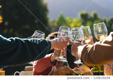 Happy diverse male and female friends toasting during thanksgiving celebration meal in sunny garden 120619294