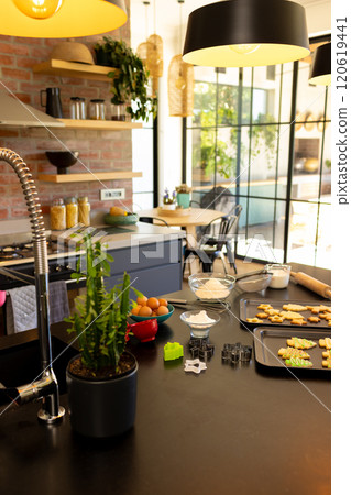 Luxury, sunny kitchen with freshly baked christmas cookies in baking trays on worktop, copy space 120619441