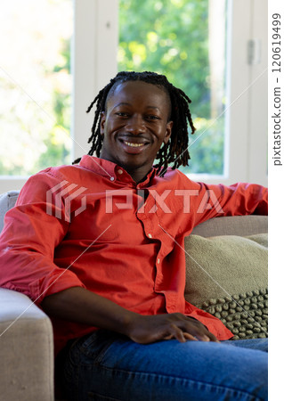 Smiling African American man with dreadlocks on sunny living room couch 120619499