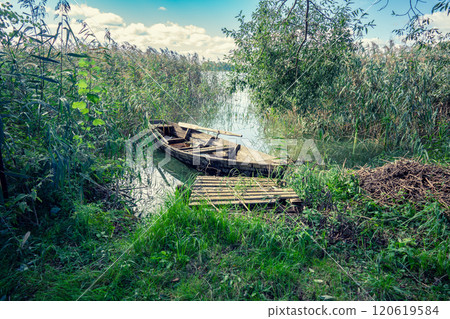 A serene and tranquil lakeside view showcasing an old, weathered boat, embraced by vibrant, lush greenery all around 120619584