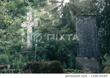 In this peaceful and tranquil cemetery, an ornate cross stands tall amidst the lush greenery and dappled sunlight In this peaceful and tranquil cemetery, an ornate cross stands tall amidst the lush greenery and dappled sunlight 120619589