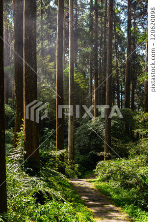 嘉義 石棹雲海季 嘉義 石棹雲海季 120620098