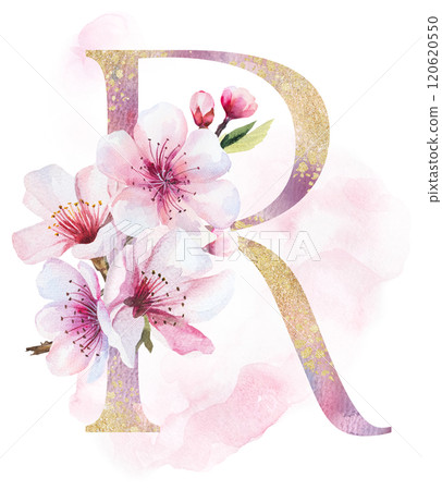Watercolor and golden letter R with pink cherry flowers and buds, wedding sakura isolated element 120620550