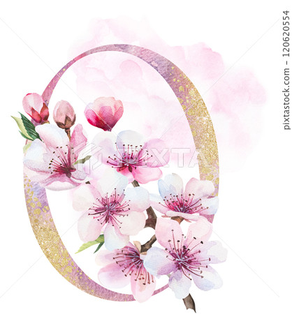 Watercolor and golden number 0 with pink cherry flowers and buds, wedding sakura isolated element 120620554