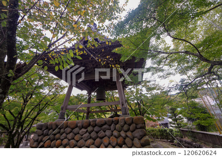 The Great Bell of Shuzenji Temple 120620624