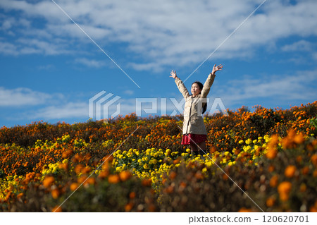 A girl spreading her arms in a flower field A girl spreading her arms in a flower field 120620701