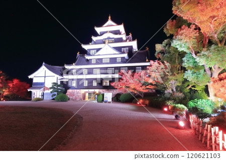 [Okayama Prefecture] Night view of Okayama Castle with autumn leaves and illumination (after major renovation in the Reiwa era) 120621103