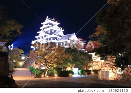[岡山縣] 岡山城的夜景和紅葉燈飾（令和大整修後） 120621110