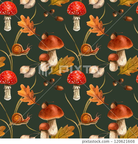 Autumn mushrooms with snail, acorns, leaves. Forest rustic seamless fall watercolor pattern. Ideal on seasonal wallpaper, wrapping, fabric, background Autumn mushrooms with snail, acorns, leaves. Forest rustic seamless fall watercolor pattern. Ideal on seasonal wallpaper, wrapping, fabric, background 120621608