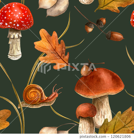 Autumn snail, mushrooms, acorns, leaves print. Fall watercolor seamless pattern with dark background for season events, wallpaper, fabric, background Autumn snail, mushrooms, acorns, leaves print. Fall watercolor seamless pattern with dark background for season events, wallpaper, fabric, background 120621806
