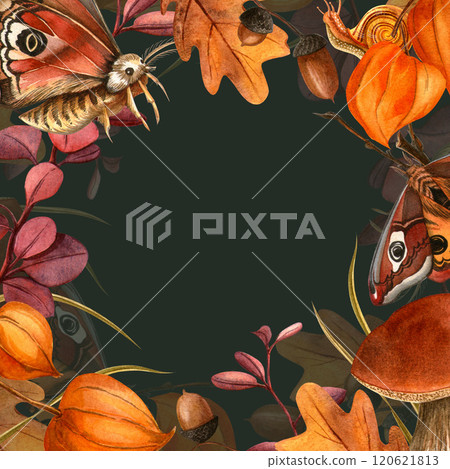 Butterflies, leaves, mushrooms, snail fall elegant botanical frame. Autumn warm cozy watercolor illustration on dark background. Seasonal postcard, card, invitation, label, banner, Thanksgiving day 120621813