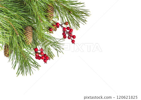 Christmas holiday greeting card template; Bouquet of branches of pine tree with cones, red berries on white background; copy space; flat lay 120621825